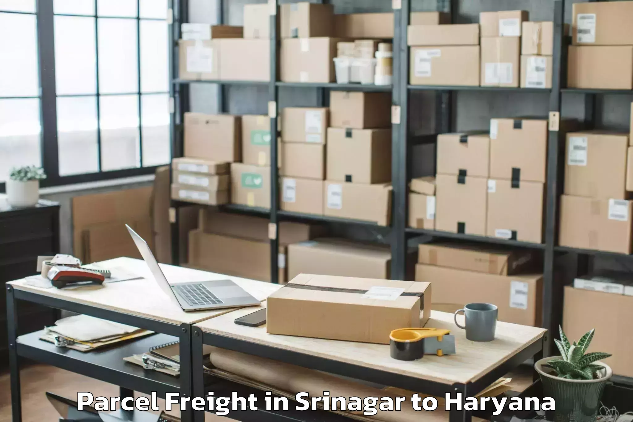 Top Srinagar to Ateli Parcel Freight Available